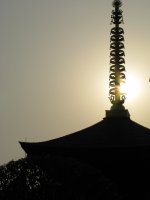 IMG_0820.JPG